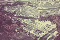 MIZUNAMI Plant