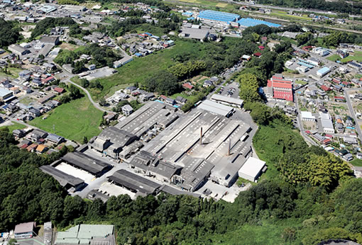 MIZUNAMI Plant